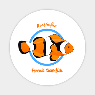 Percula Clownfish Magnet